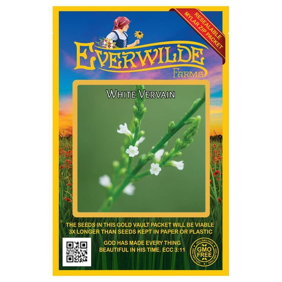 Everwilde Farms - 2000 White Vervain Native Wildflower Seeds - Gold Vault Seed Packet
