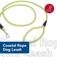 thumbnail image 2 of Leash Coastal Lime de nailon trenzado suave de 1,3 cm x 1,8 m, 2 of 7