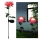 thumbnail image 2 of Solar Crisantemo Tierra Jardín Al Aire Libre () Rosa, 2 of 8