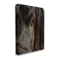 thumbnail image 3 of Stupell Industries Close Up Horse Portrait Animals & Insects Painting Gallery Wrapped Canvas Print Wall Art, 16 x 20, 3 of 7