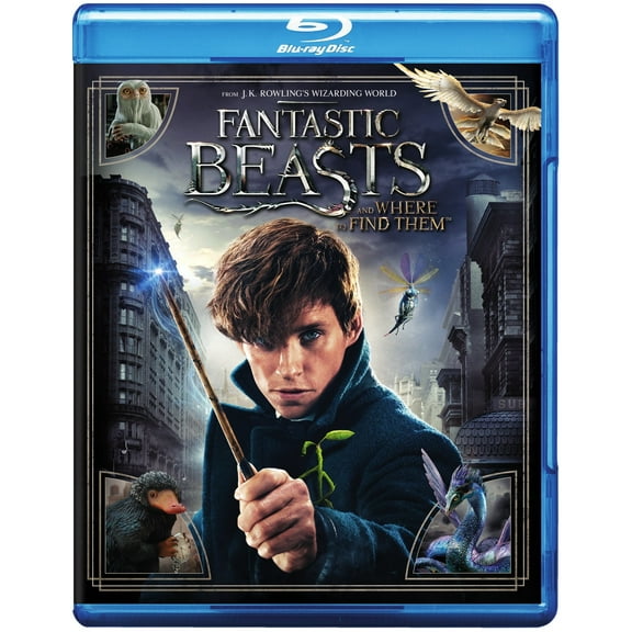 Fantastic Beasts and Where to Find Them [Blu-Ray]