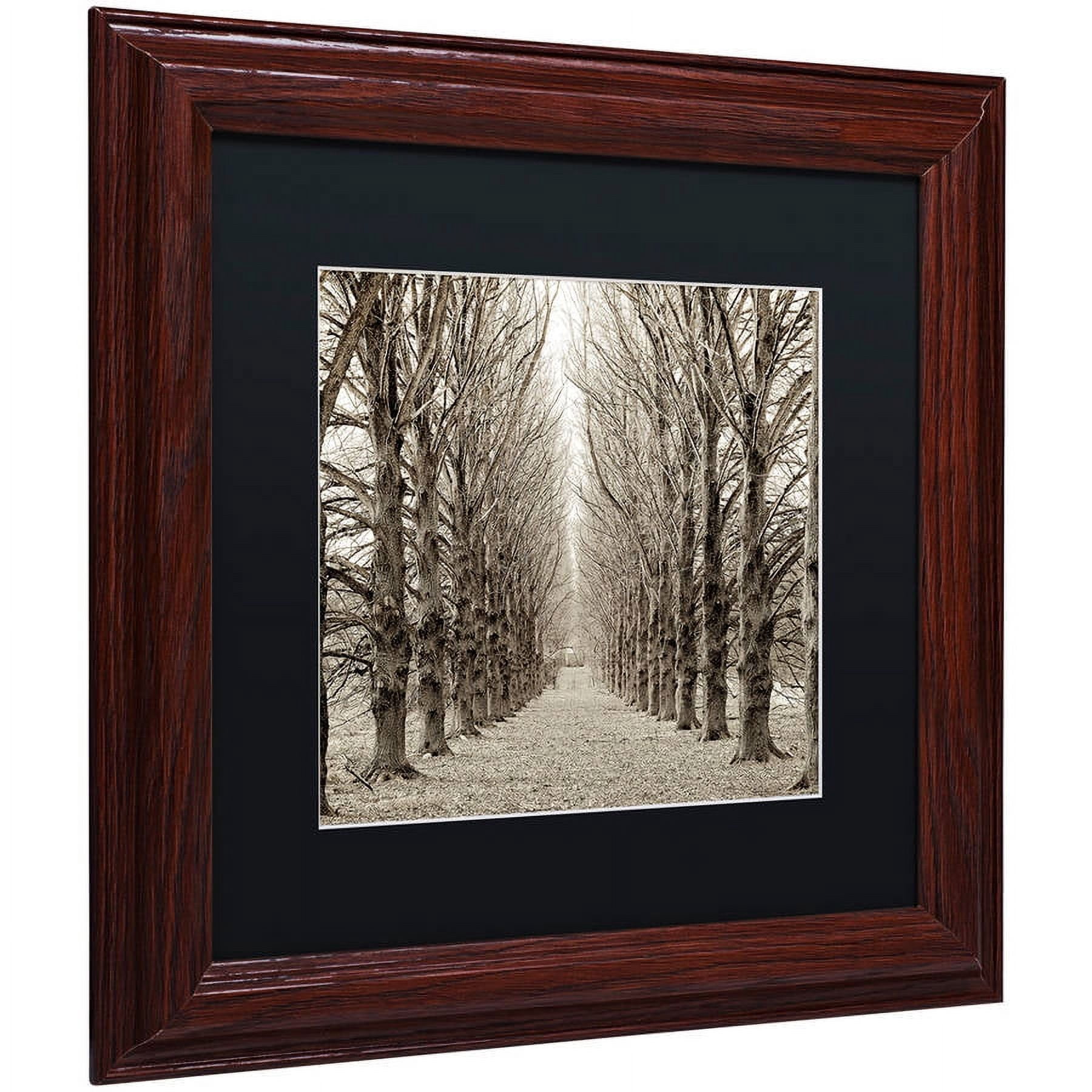 Trademark Fine Art "Hampton Gates Promenade III" Canvas Art by Alan Blaustein, Black Matte, Wood Frame