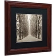 thumbnail image 2 of Trademark Fine Art "Hampton Gates Promenade III" Canvas Art by Alan Blaustein, Black Matte, Wood Frame, 2 of 4