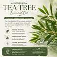 thumbnail image 3 of Tea Tree Essential Oil 100% Pure - 16 fl oz - Aluminum Bottle - GreenHealth, 3 of 10