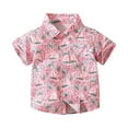 thumbnail image 2 of IROINNID Toddler Clothes Baby Summer Hawaiian Casual Beach Wear Print Short-sleeved Shirt Top 18-24 Months, 2 of 8
