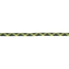 Maxim Climbing Ropes Apex 10.5mm x 70m Ivy Dry Rope - Premium Performance for Climbing Enthusiasts
