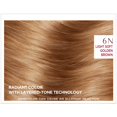 thumbnail image 5 of L'Oreal Paris ExcellenceAge Perfect Layered Tone Flattering Color, 6N Light Soft Golden Brown (Packaging May Vary), 5 of 5