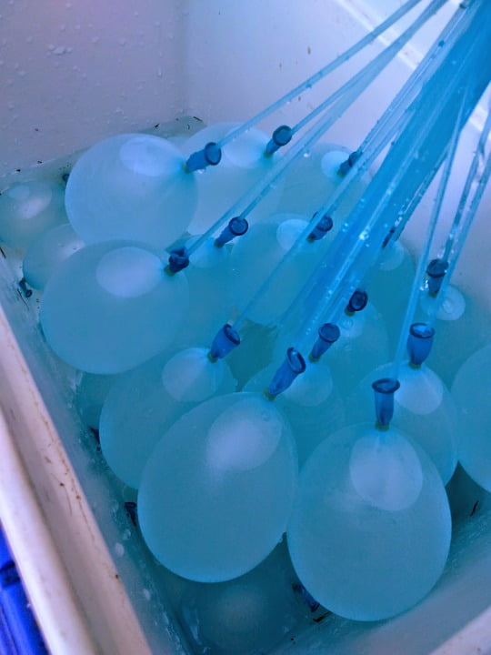 Framed Art for Your Wall Balloon Blue Balloon Water Balloons 10x13