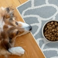 thumbnail image 1 of SussexHome Pets Ultra-Thin Cat and Dog Litter Mat for Litter Box - Washable Soft Natural Cotton Cat and Dog Feeding Mat - Paws-Kind Slip Resistant Place Mat - 2' x 3', 1 of 7