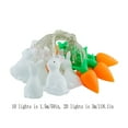 thumbnail image 3 of Christmas Lights Wire with Remote String Lights for Bedroom Short Wire Stand Christmas Bulb Lights for outside Clear String Lights 50 Easter Bunny Carrot LED Lights String Children's Toy Lights Scene, 3 of 4
