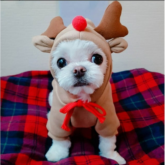 Fiudx Suéter para Perro Pequeño, Suave Forro Polar, Diseño Moderno de Manga Larga, Cómodo y Agradable para La Piel, Protección Contra El Frío En Invierno, Ropa para Perros, Tallas S/M/L