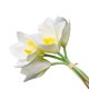 thumbnail image 4 of Flor de orquídea artificial banquete de boda falso orquídea mesa centro de mesa flor de tela de seda, blanco 4 Piezas Noticed HA6707-01B, 4 of 6