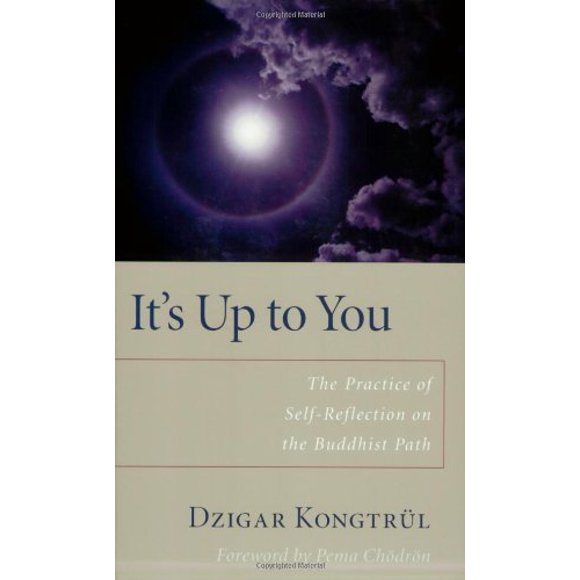 It's up to You : The Practice of Self-Reflection on the Buddhist Path 9781590303818 Used / Pre-owned