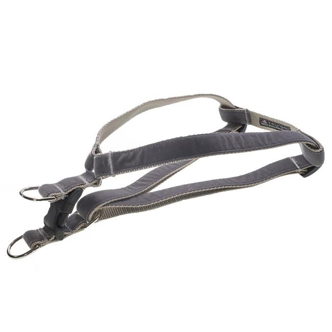 grey dog harness