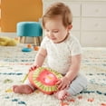 thumbnail image 2 of Fisher-Price Go Wild Gym & Giraffe Wedge, 2 of 8