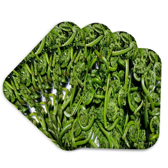 3drose, Garden Fresh Picked Fiddleheads, Set of 4 Coasters - Soft