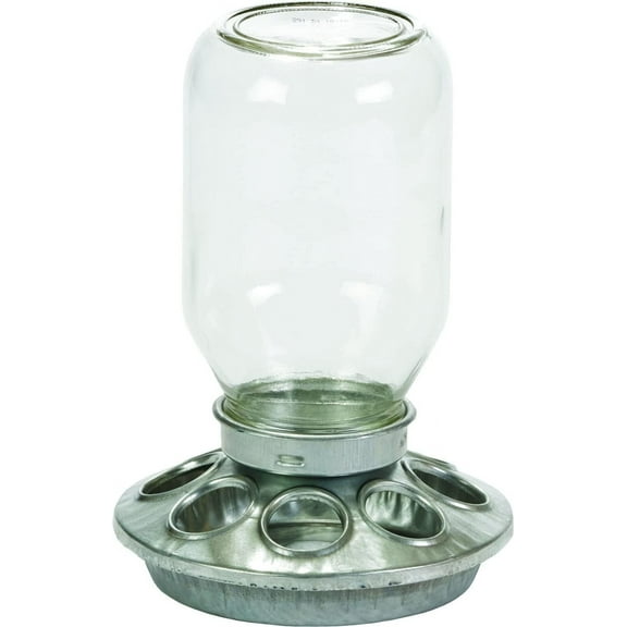 Little Giant Mason Jar Baby Chick Feeder 1 Quart