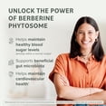 thumbnail image 3 of Prominent Nutrition Berberine Phytosome - Up to 9.6x Superior Absorption - Standardized Berberine for Digestive, Gut & Heart Health Support - Non-GMO, Vegan & Gluten-Free - 60 Capsules (60 Servings), 3 of 9