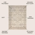 thumbnail image 3 of JONATHAN Y WASHABLE 5 x 8 Area Rug, Koda Vintage Medallion - Cream/Brown, WSH318A-5, 3 of 9