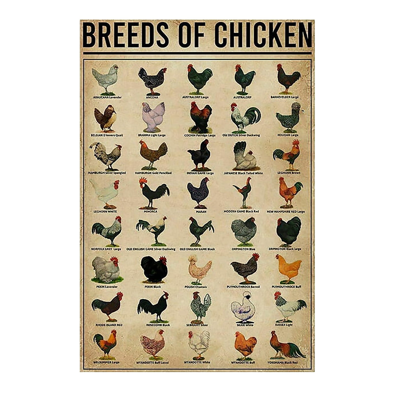 Vintage Chicken Tin Sign - 'Grow Good Things' Retro Metal Decor 8x5.5 Inch