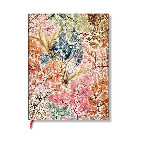 Anemone MIDI Lined Softcover Journal, 176pg, 100gsm by Paperblanks (William Kilburn), (Hardcover)