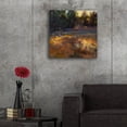 thumbnail image 5 of Epic Art 'Afternoon Stars' by Christine Debrosky Acrylic Glass Wall Art, 24" x 24", 5 of 8