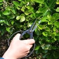 thumbnail image 5 of Slim Bonsai Scissors Indoor Gardening Tools Pruning Shears steels Black for Hand Trimming of Flowers Plants, 5 of 5