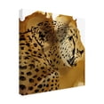 thumbnail image 2 of Jennifer Paxton Parker 'Leopard Portrait II' Canvas Art, 2 of 3
