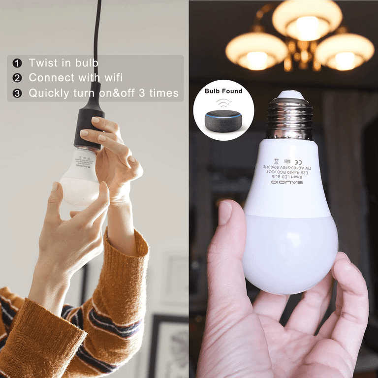 Saudio 2024 light bulb