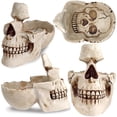 thumbnail image 4 of Soporte para gafas Calavera READAEER de resina blanca, 4 of 7