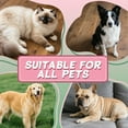 thumbnail image 6 of GASTROPOD Dog Dresses for Small Dogs Girl,Polyester Puppy Clothes,Slip Resistant with Duck Girl Dog Clothes,Blue,Xl, 6 of 7