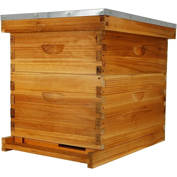 10-Frame Bee Hive Complete Beehive Kit Beeswax Coated Beehive Include Frames and Foundation Sheets for All Beekeeping Levels (1 Deep & 1 Medium Bee Boxes)