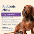 Is Petlab Co Good For Dogs PetLab Co. Probiotic Bites for Dogs | Digestive Support, Allergies