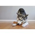 thumbnail image 3 of Nylabone Puppy Chew Teething Bone Dog Chew Toy Chicken X-Large (1 Count), 3 of 15