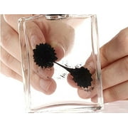 Amazing Ferrofluid Magnetic Display In a Bottle, Ferrofluid Magnetic Liquid Display Desk Toy, Magnetism Science Kits
