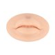 thumbnail image 2 of 3D suaves practican de silicona, impermeable imitación piel reutilizable para la práctica de perforación de artistas Zulema Labios Práctica Piel, 2 of 8