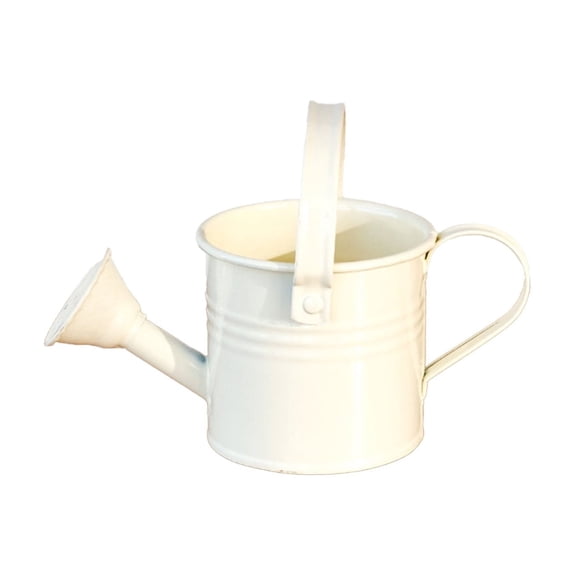 Fareti Small Watering Can, Flower Garden Watering Can, Gardening Tool Accessories for Outdoor Indoor Plants Lawn