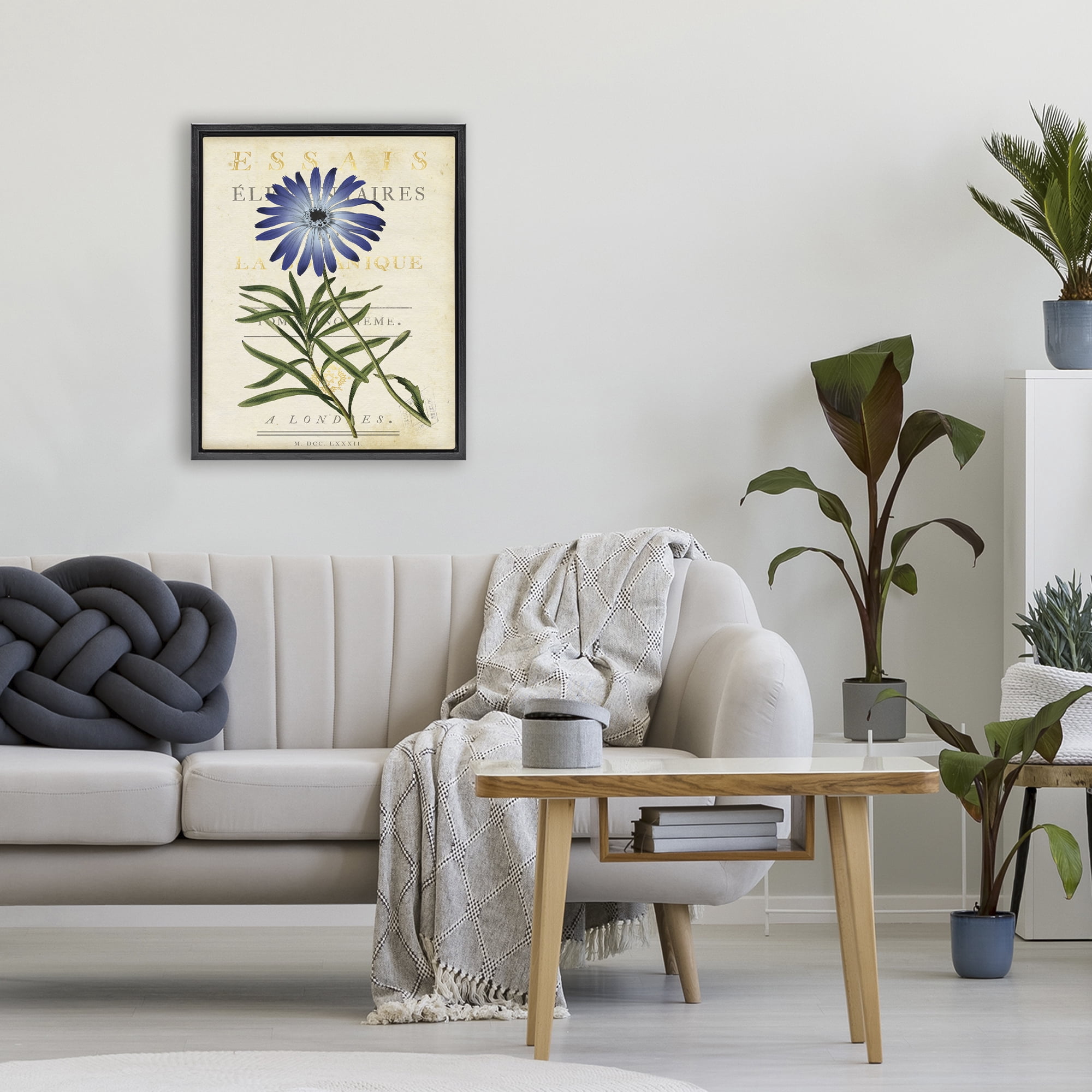 Stupell Industries Natural Botany Daisy Black Framed Floater Canvas Wall Art, design by Susan Arnot