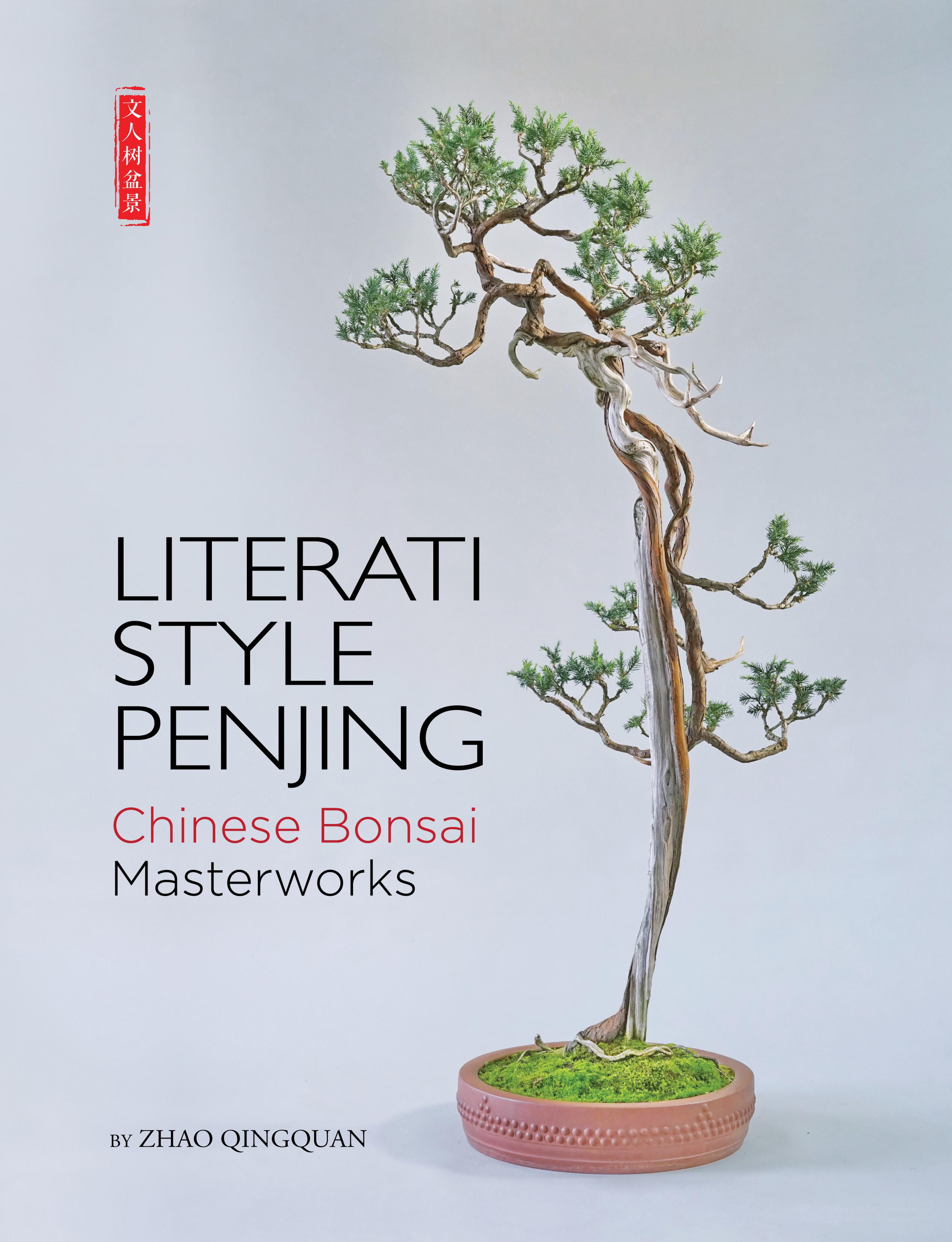 Literati Style Penjing Chinese Bonsai Masterworks Walmart Com Walmart Com