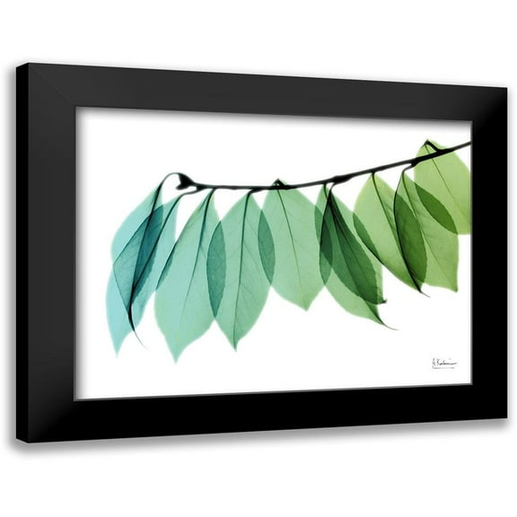 Koetsier, Albert 14x12 Black Modern Framed Museum Art Print Titled - Camelia Leaf II