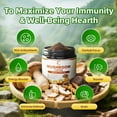 thumbnail image 2 of Mushroom Coffee Powder, Mushroom Supplement Powder, Mushroom Blend Complex for Focus & Memory,Brain, 2.5Oz(70g), 2 of 8