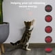 thumbnail image 4 of Cat Light Pointer Juguete interactivo para gatos Teaser interactivo para gatos Burlas, 4 of 8