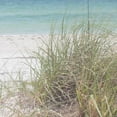 thumbnail image 2 of Bryant, Susan 26x26 Gold Ornate Wood Framed with Double Matting Museum Art Print Titled - Ocean Air II, 2 of 4