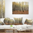 thumbnail image 3 of Designart Beautiful Birch Forest Photography - Modern Forest Throw Pillow - 16x16, 3 of 4