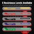 thumbnail image 3 of Pull Up Bands, Resistance Bands Set, Exercise Workout Bands for Men & Women, Ideal for Body Stretching, Physical Therapy and Muscle Training, 3 of 9
