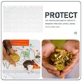 thumbnail image 4 of UPOUART 10 Sheets of Coin Protectors Transparent Plastic for Currency Collection, 4 of 5