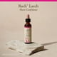 thumbnail image 5 of Bach Flower Essences  Larch | Alerce 20 ml (0,7 oz. líq.), 5 of 6