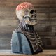 thumbnail image 4 of Cubierta De Cabeza De Esqueleto Espeluznante De Halloween Casco De Cabeza De Esqueleto Casco De Cabeza De Hueso De Miedo Cubierta De Cabeza De Esqueleto Espeluznante De Halloween ANGGREK FE1029, 4 of 8