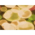 thumbnail image 1 of Ahgly Company Machine Washable Indoor Rectangle Transitional Chrome Gold Yellow Area Rugs, 5' x 7', 1 of 7