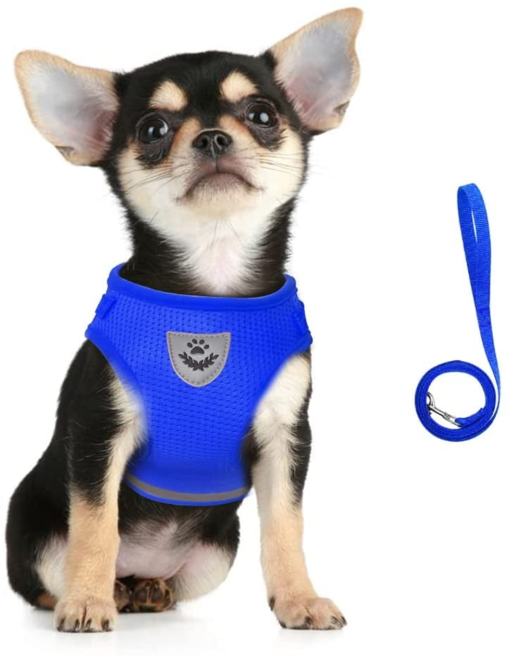 Lace Cat Dog Harness Leash Vest Small Pet Puppy Walking Leads Safety Control New 
